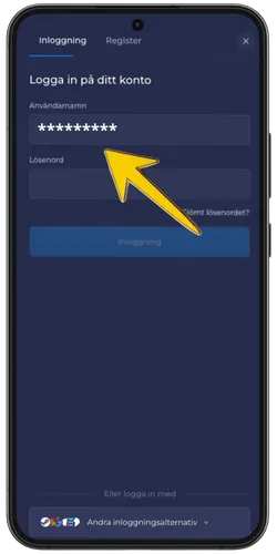 RainBet inloggningsskärm med ifyllt användarnamnsfält och gul pil som pekar på det