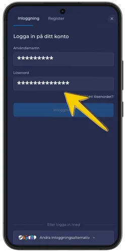 RainBet inloggningsskärm med ifyllt lösenordsfält och gul pil som pekar på det
