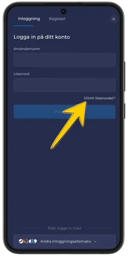 RainBet inloggningsskärm med gul pil som pekar på länken "Glömt lösenordet?"