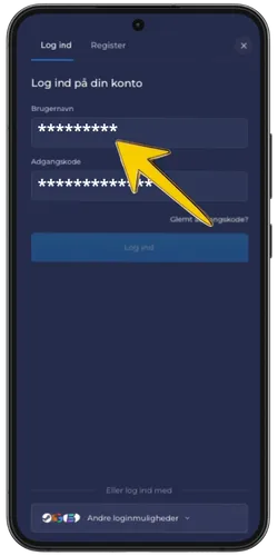 RainBet login-skærm med udfyldt adgangskode-felt og gul pil der peger på det