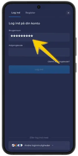 RainBet login-skærm med udfyldt e-mailfelt og gul pil der peger på det