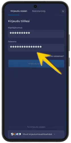 RainBet kirjautumisnäyttö täytetyllä salasanakentällä ja keltaisella nuolella joka osoittaa siihen